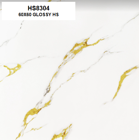 HS8304 GLOSSY 60X60 HS