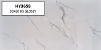 HY3658 30X60 HS GLOSSY