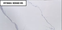 HY3661 30X60 HS