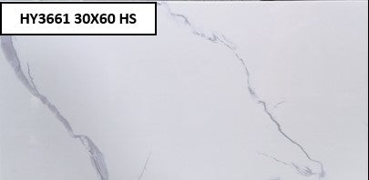 HY3661 30X60 HS