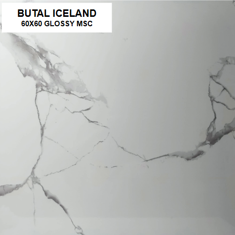 BUTAL ICELAND 60X60 MSC