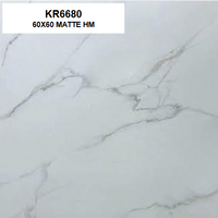 KR6680 MATTE 60X60 HM