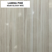Z LAMINA PINE 60X60 GLOSSY MSC