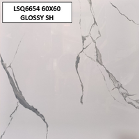 LSQ6654 60X60 GLOSSY SH