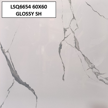 LSQ6654 60X60 GLOSSY SH