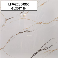 LTP6201 60X60 GLOSSY SH