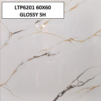 LTP6201 60X60 GLOSSY SH