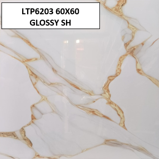 LTP6203 60X60 GLOSSY SH