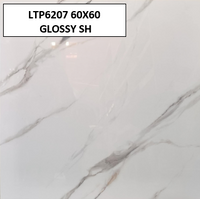 LTP6207 60X60 GLOSSY SH