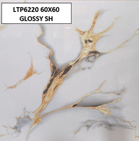 LTP6220 60X60 GLOSSY SH