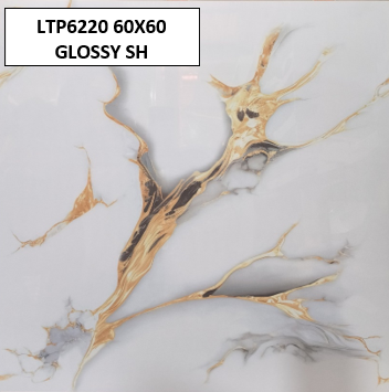 LTP6220 60X60 GLOSSY SH