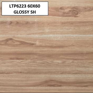 LTP6223 60X60 GLOSSY SH