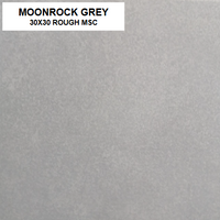 Z MOONROCK GREY 30x30 MSC
