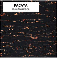 PACAYA 60x60 MSC GLOSSY