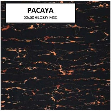 PACAYA 60x60 MSC GLOSSY