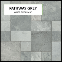 Z PATHWAY GREY 60X60 MSC MATTE