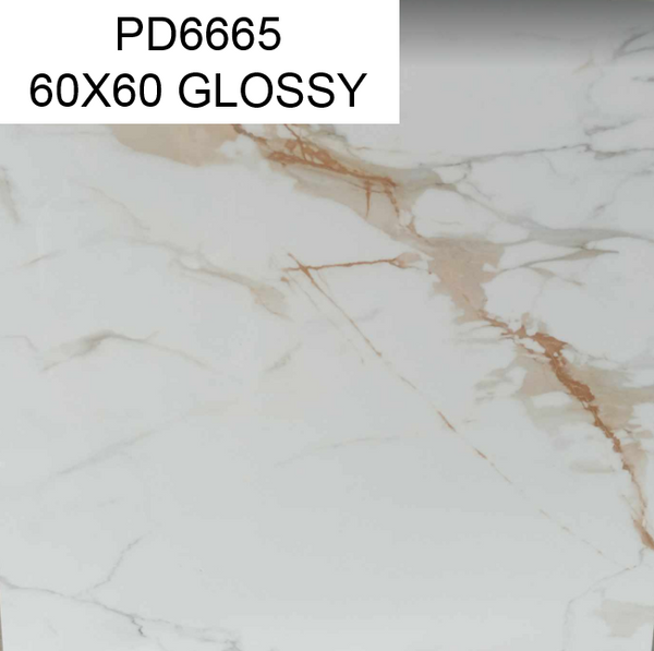 PD6665 60x60 GLOSSY HM (PO)