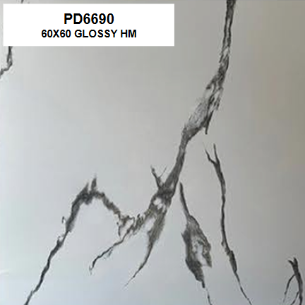 PD6690 GLOSSY 60X60 HM