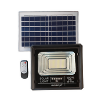 SOLAR LIGHT LED BS-T100 BOSCA