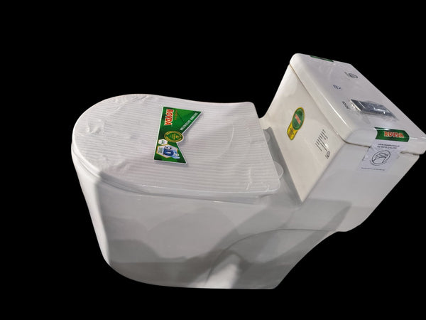 R715 ONE PIECE TOILET HM