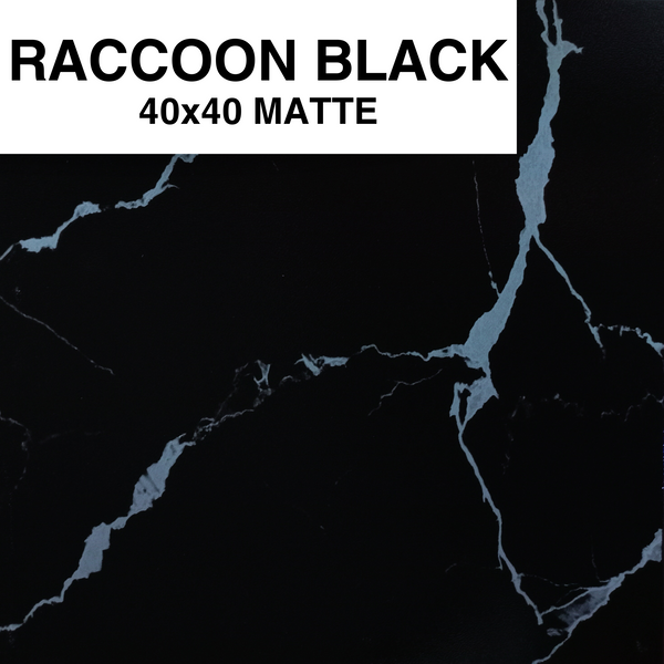 RACCOON BLACK 40X40 MSC GLOSSY