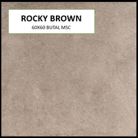 Z ROCKY BROWN 60X60 MSC