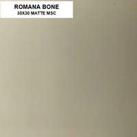 ROMANA BONE 30X30 MSC
