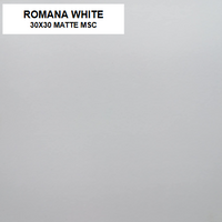 Z ROMANA WHITE 30x30 MSC