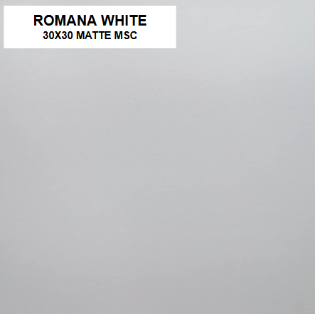 Z ROMANA WHITE 30x30 MSC