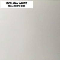 ROMANA WHITE 30X30 MSC
