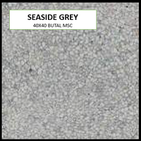 BUTAL SEASIDE GREY 40X40 MSC ROUGH