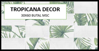 Z TROPICANA DECOR 30X60 MSC-PRIME