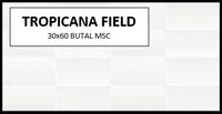Z TROPICANA FIELD 30X60 MSC-PRIME