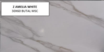 Z AMELIA WHITE 30X60 MSC