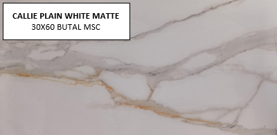 Z CALLIE PLAIN WHITE 30X60 MSC MATTE