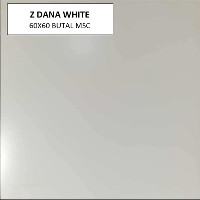 Z DANA WHITE 60X60 MSC MATTE