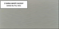 Z DARIA WHITE 30X60 MSC GLOSSY