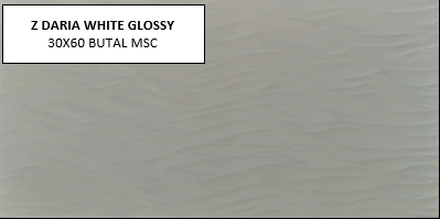 Z DARIA WHITE 30X60 MSC GLOSSY