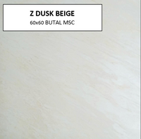 Z DUSK BEIGE 60X60 MSC