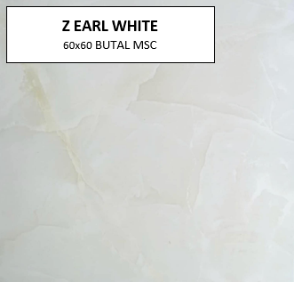 Z EARL WHITE 60X60 MSC