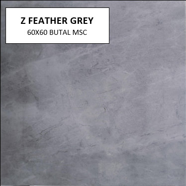Z FEATHER GREY 60X60 MSC