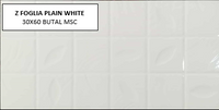Z FOGLIA PLAIN WHITE 30X60 MSC