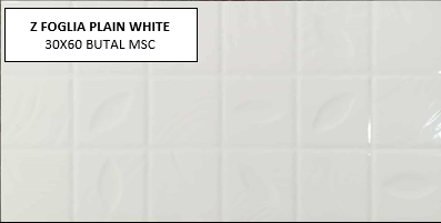 Z FOGLIA PLAIN WHITE 30X60 MSC