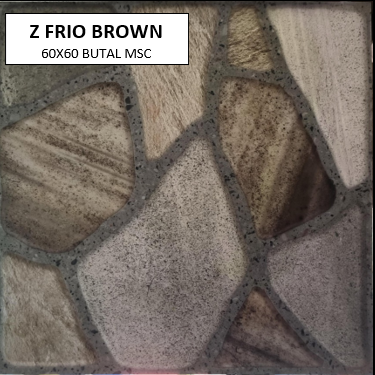 Z FRIO BROWN 60X60  MSC