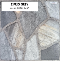 Z FRIO GREY 60X60 MSC