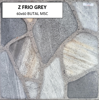 Z FRIO GREY 60X60 MSC