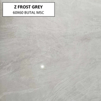 Z FROST GREY 60X60 MSC