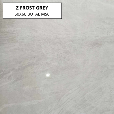 Z FROST GREY 60X60 MSC