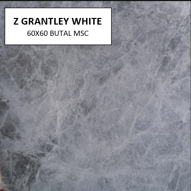 Z GRANTLEY WHITE 60X60 MSC