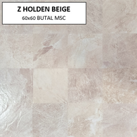 Z HOLDEN BEIGE 60X60 MSC